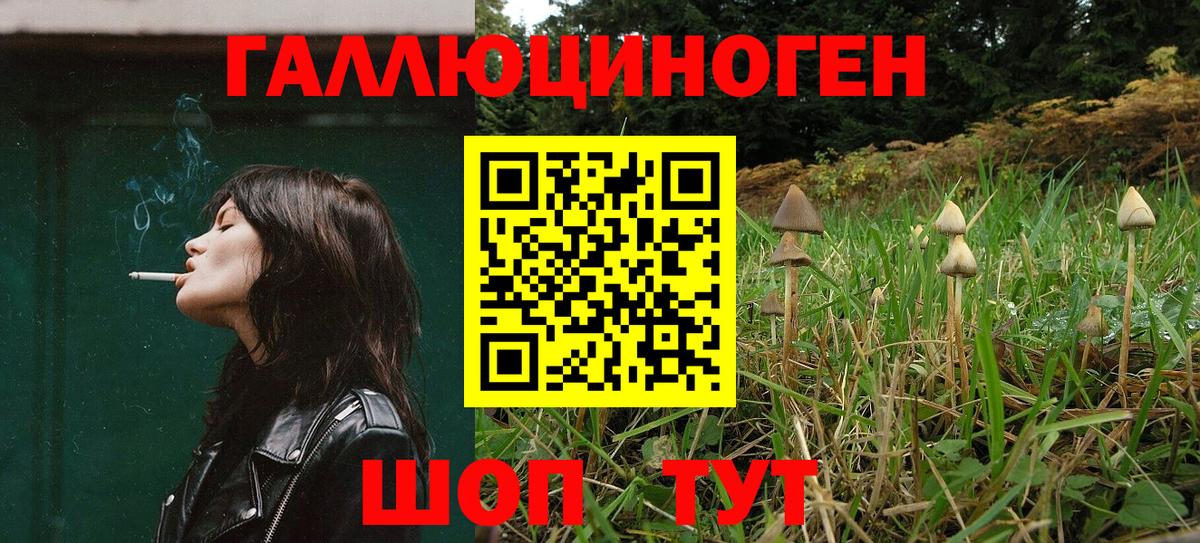 Псилоцибиновые грибы ЛСД  Вход с VPN  Мытищи 